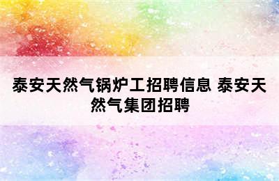 泰安天然气锅炉工招聘信息 泰安天然气集团招聘